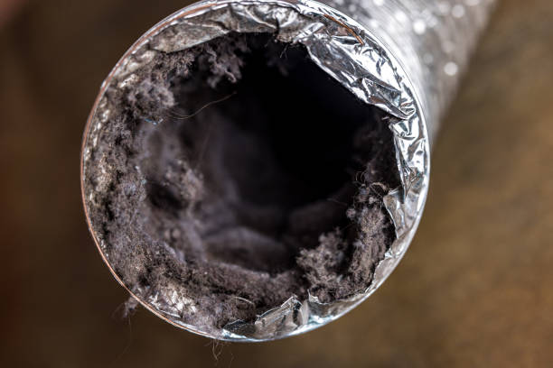 Best Local Air Duct Cleaning Services  in Mondovi, WI