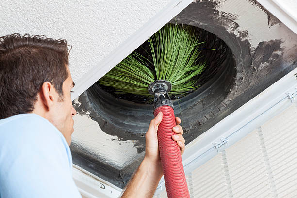 Best Affordable Air Duct Cleaning  in Mondovi, WI